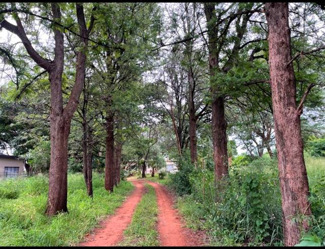 FARM FOR SALE IN MOKOPANE CENTRAL